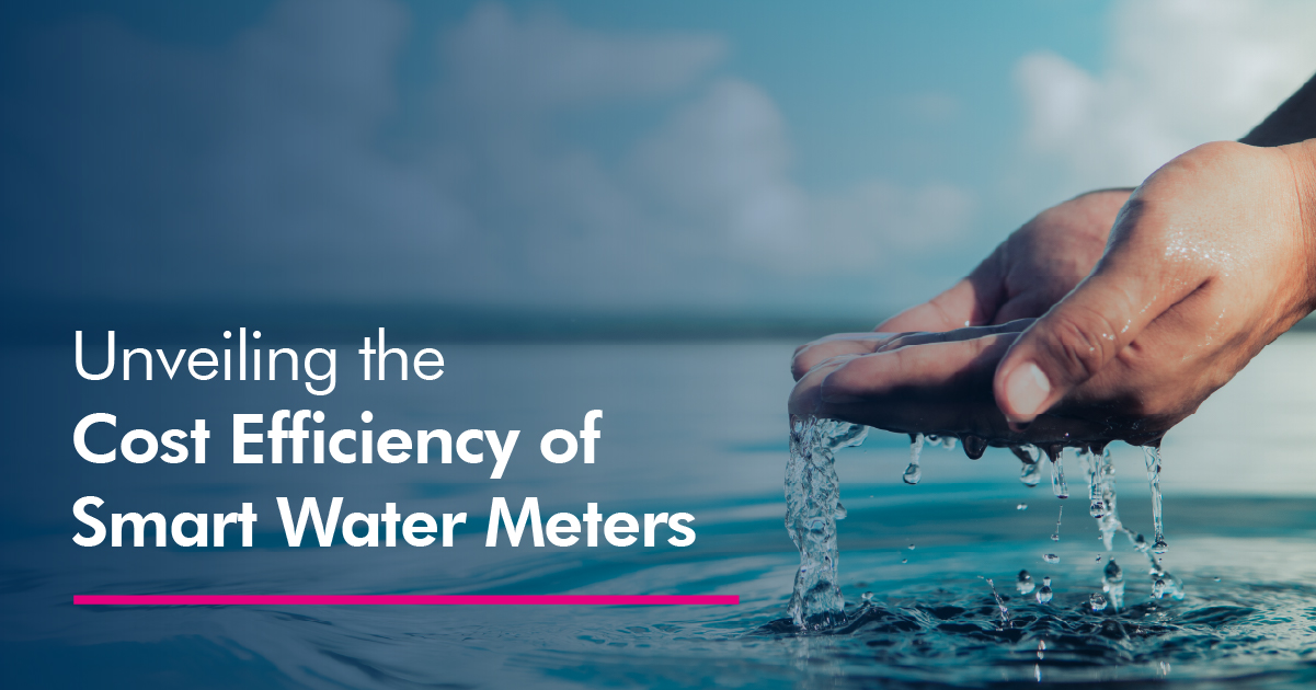 Unlocking the Value of Smart Water Meters: Cost-Efficiency and Accurate ...